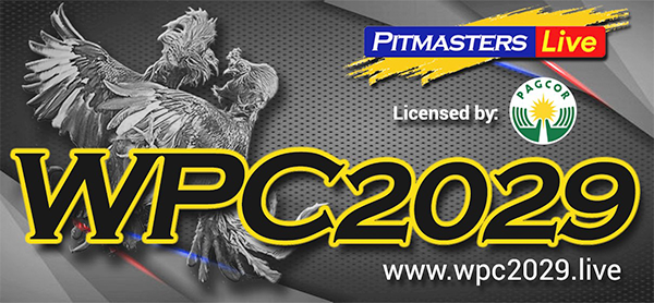 wpc2029.live dashboard