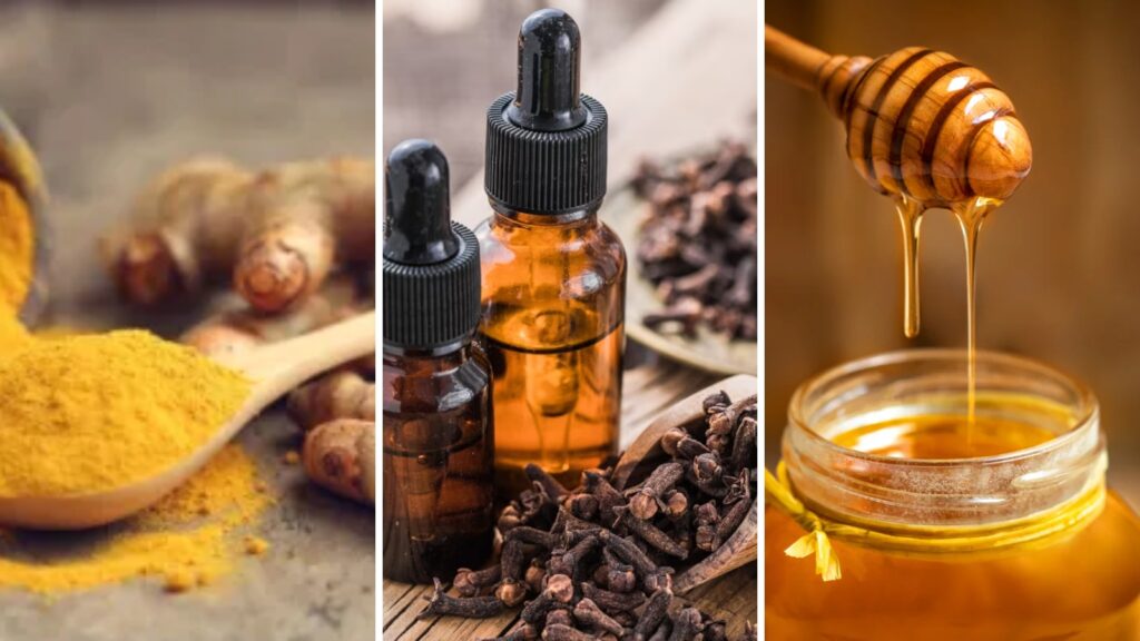 Natural Antibiotics for Tooth Infection: